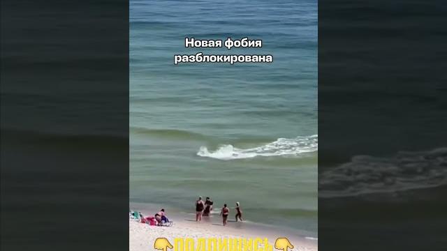 Нападение акулы на пляжу Нападение акулы на пляжу