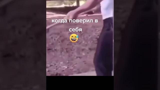 Когда Поверил в себя | приколы тигр #shorts Когда Поверил в себя | приколы тигр #shorts