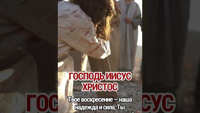 Господь Иисус Христос, Твое воскресение — наша надежда и сила, Ты никогда не покидаешь нас! Господь Иисус Христос, Твое воскресение — наша надежда и сила, Ты никогда не покидаешь нас!
