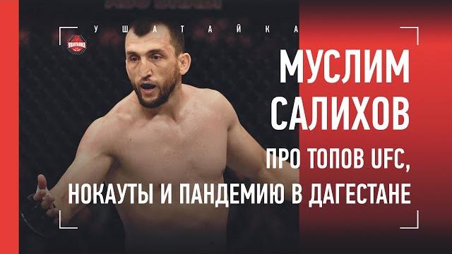 МУСЛИМ САЛИХОВ: самый жесткий нокаут, будущее в UFC, вирус в Дагестане / большое интервью МУСЛИМ САЛИХОВ: самый жесткий нокаут, будущее в UFC, вирус в Дагестане / большое интервью