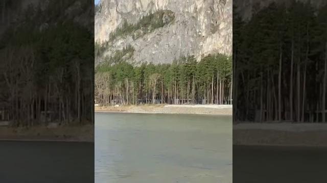 Релаксирую на берегу Катуни, Горный Алтай #видео #лето #горныйалтай #катунь #отдыхвгорах Релаксирую на берегу Катуни, Горный Алтай #видео #лето #горныйалтай #катунь #отдыхвгорах