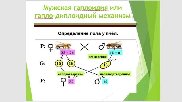 Практическое занятие 11 Практическое занятие 11