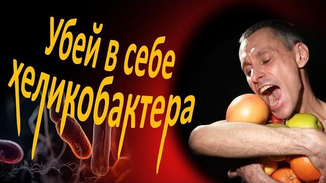 Хеликобактер: каждый второй заражен, антибиотики помогут не всем Хеликобактер: каждый второй заражен, антибиотики помогут не всем