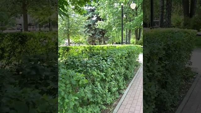 Воронеж #жизньвдеревне #лето #дача #воронеж Воронеж #жизньвдеревне #лето #дача #воронеж