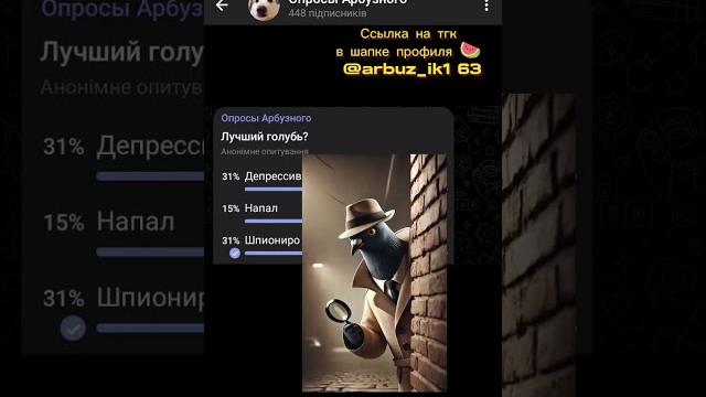 Лучший голубь? #рекомендации #арбузный #голубь Лучший голубь? #рекомендации #арбузный #голубь