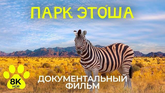 Дикая природа Африки – Часть 1 | Национальный парк ЭТОША - 8K HDR Документальный фильм о животных Дикая природа Африки – Часть 1 | Национальный парк ЭТОША - 8K HDR Документальный фильм о животных