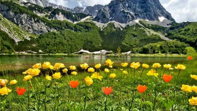 Футаж Природа 3 Футаж Природа 3