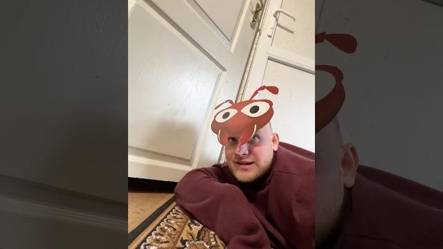 Жизнь ТАРАКАНА (смешное видео, юмор, приколы, поржать) Жизнь ТАРАКАНА (смешное видео, юмор, приколы, поржать)