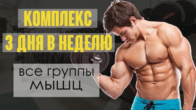 Программа Тренировок с Гантелями для Мужчин. 3 дня в неделю. Программа Тренировок с Гантелями для Мужчин. 3 дня в неделю.