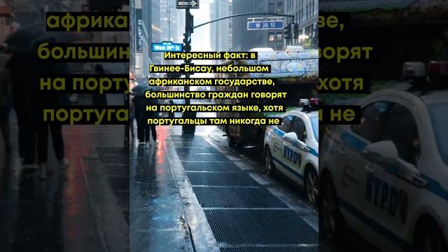 Интересный факт: язык Гвинеи-Бисау Интересный факт: язык Гвинеи-Бисау