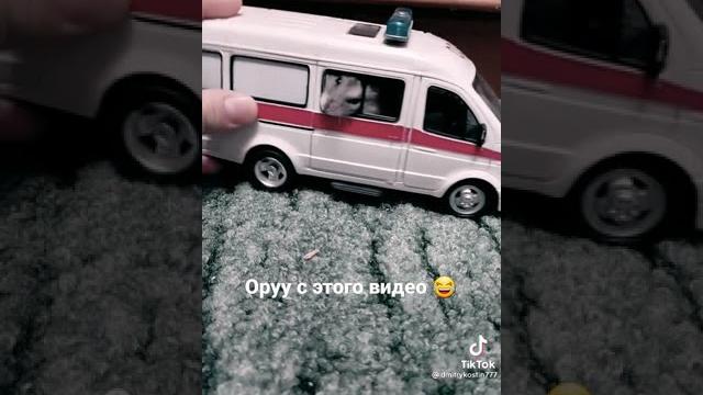 смешной ролик про хомяка из тик тока смешной ролик про хомяка из тик тока