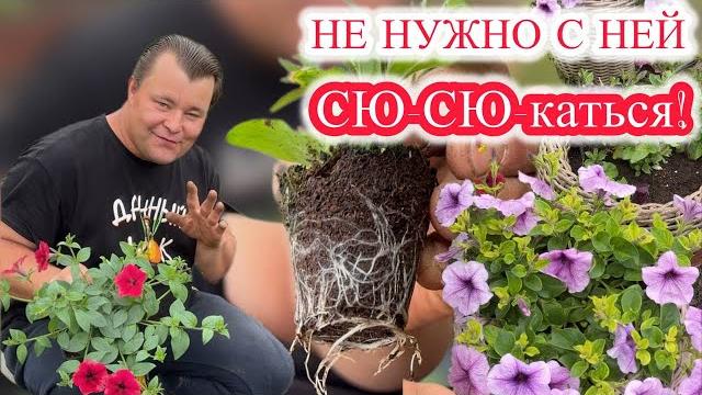 5 ПРОСТЫХ РЕКОМЕНДАЦИЙ ПО ВЫРАЩИВАНИЮ ПЕТУНИИ! 5 ПРОСТЫХ РЕКОМЕНДАЦИЙ ПО ВЫРАЩИВАНИЮ ПЕТУНИИ!