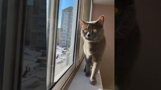 кака на х.. й ружа кака на х.. й ружа