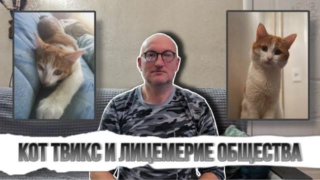 Кот Твикс и лицемерие общества||котика жалко? Кот Твикс и лицемерие общества||котика жалко?