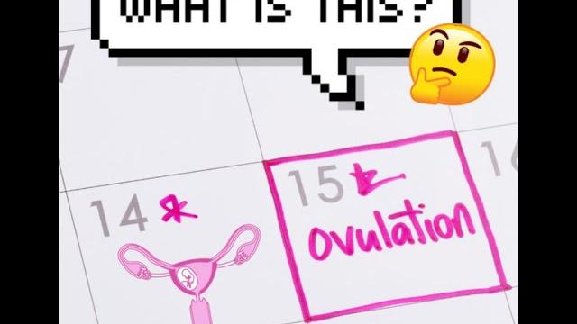 Что такое овуляция простыми словами? Что такое овуляция простыми словами?