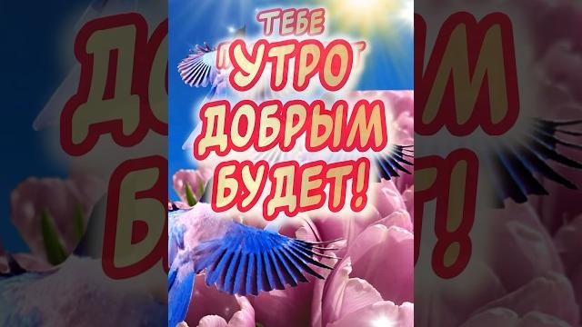 Красивое пожелание С добрым утром️ Красивое пожелание С добрым утром️