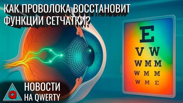 Сетка для сетчатки. Противораковый сахар. Трапеза зауропода. Клешни уховёрток. Новости QWERTY №343 Сетка для сетчатки. Противораковый сахар. Трапеза зауропода. Клешни уховёрток. Новости QWERTY №343