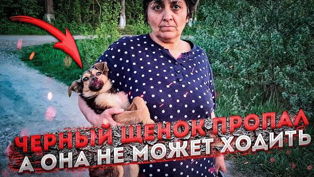 Щенки оказались в ловушке человеческой жестокости. Щенки оказались в ловушке человеческой жестокости.