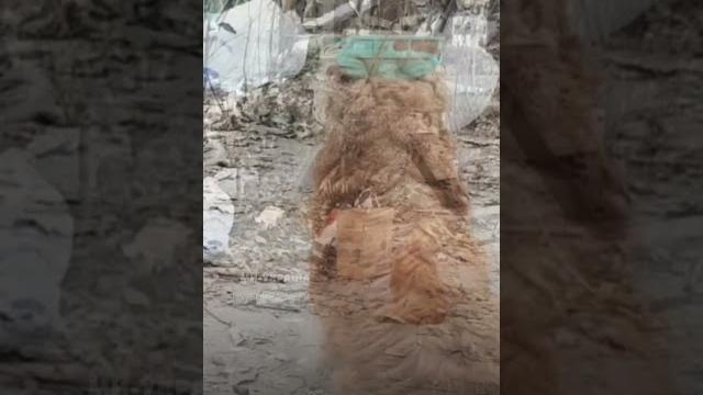 ЭТО ВИДЕО из ЗАПОРОЖЬЯ разрывает СЕРДЦЕ! Возле ПОГИБШЕГО мужчины сидит рядом его СОБАЧКА ЭТО ВИДЕО из ЗАПОРОЖЬЯ разрывает СЕРДЦЕ! Возле ПОГИБШЕГО мужчины сидит рядом его СОБАЧКА