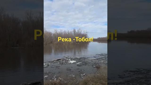 Река -Тобол!#река #ялуторовск #тобол Река -Тобол!#река #ялуторовск #тобол