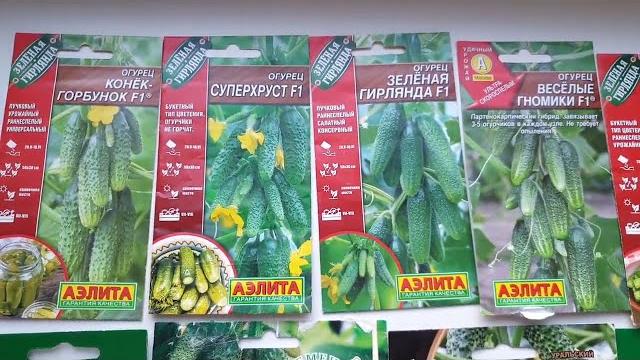 Выбираем САМЫЕ УРОЖАЙНЫЕ сорта ОГУРЦОВ! Пучковые огурцы. Семена АЭЛИТА! Семена Седек. Семена Манул. Выбираем САМЫЕ УРОЖАЙНЫЕ сорта ОГУРЦОВ! Пучковые огурцы. Семена АЭЛИТА! Семена Седек. Семена Манул.