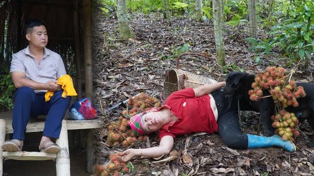 A hard-working service dog saved the life of single mother Ly Thi Diep when she had an accident. A hard-working service dog saved the life of single mother Ly Thi Diep when she had an accident.