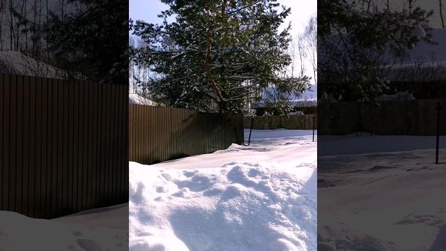 циклон Ольга прошёлся по подмосковью циклон Ольга прошёлся по подмосковью