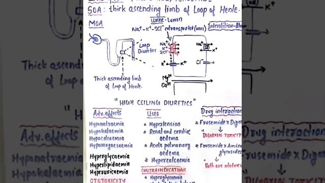 Frusemide ( Loop diuretics ) Frusemide ( Loop diuretics )