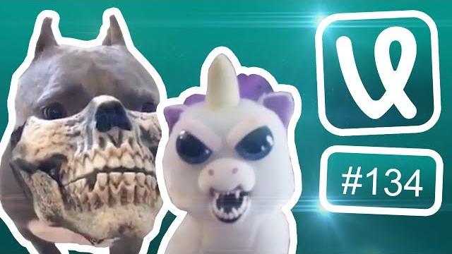 Лучшие ролики недели #134 Идеально! Лучшие ролики недели #134 Идеально!