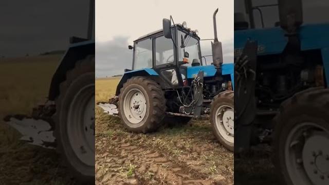 #эдит #мтз #нарезки #трактор #эдит #мтз #нарезки #трактор