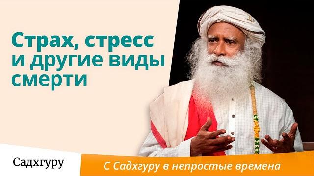 Страх, стресс и другие виды смерти Страх, стресс и другие виды смерти