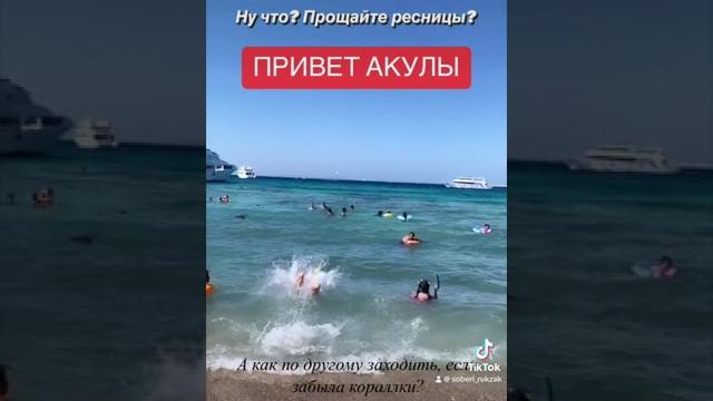 ЕГИПЕТ Прощайте Ресницы, Привет Акулы ЕГИПЕТ Прощайте Ресницы, Привет Акулы