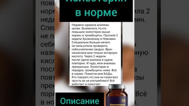 Холестерин в норме Холестерин в норме