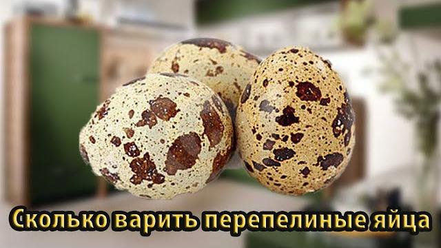 Сколько варить перепелиные яйца Сколько варить перепелиные яйца