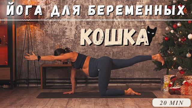 ЙОГА ИЗ ПОЛОЖЕНИЯ КОШКИ. ДЛЯ БЕРЕМЕННЫХ. 20 МИН. ЙОГА ИЗ ПОЛОЖЕНИЯ КОШКИ. ДЛЯ БЕРЕМЕННЫХ. 20 МИН.
