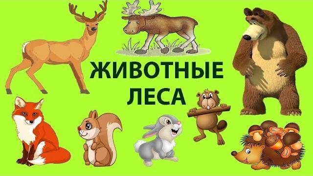 ЖИВОТНЫЕ ЛЕСА Животный мир Развивающее видео про животных для детей ДИКИЕ ЖИВОТНЫЕ ANIMAL FORESTS ЖИВОТНЫЕ ЛЕСА Животный мир Развивающее видео про животных для детей ДИКИЕ ЖИВОТНЫЕ ANIMAL FORESTS