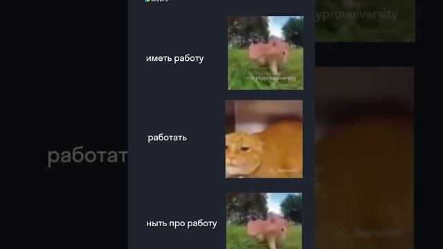 Как радостно в душе #работа Как радостно в душе #работа