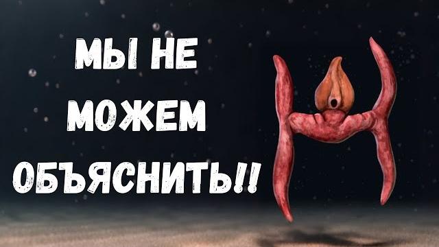 Самые Странные Вымершие Существа, Когда-Либо Найденные Самые Странные Вымершие Существа, Когда-Либо Найденные