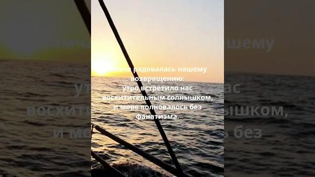 Как мы перегоняли яхту из Владивостока на Камчатку. День 16. #море #яхта #путешествия #камчатка Как мы перегоняли яхту из Владивостока на Камчатку. День 16. #море #яхта #путешествия #камчатка
