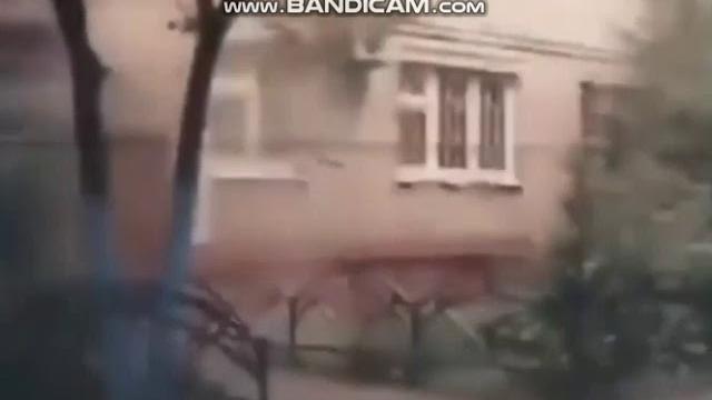 ежик чихнул и взорвал мой дом ежик чихнул и взорвал мой дом