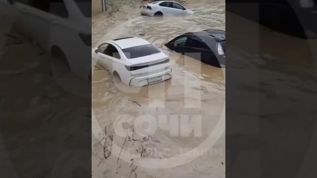 УЖАСНЫЕ КАДРЫ! Наводнение в Сочи. 16.06.2025 Потоками воды сносит авто! #сочи #наводнение #shorts УЖАСНЫЕ КАДРЫ! Наводнение в Сочи. 16.06.2025 Потоками воды сносит авто! #сочи #наводнение #shorts
