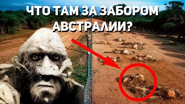 Что от нас скрывают за забором Австралии Что от нас скрывают за забором Австралии