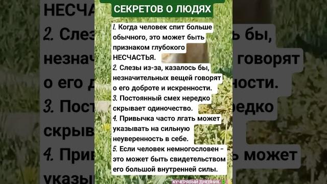 24 февраля 2025 г. 24 февраля 2025 г.