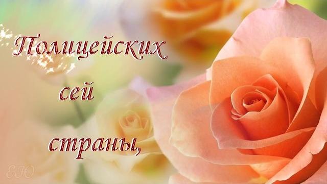 Поздравляем с днем полиции Поздравляем с днем полиции