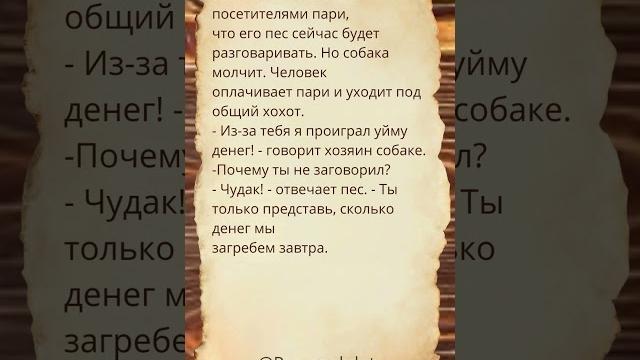 В кафе заходит человек с собакой и заключает с посетителями пари. #Shorts #Шортс #Анекдоты #Приколы В кафе заходит человек с собакой и заключает с посетителями пари. #Shorts #Шортс #Анекдоты #Приколы
