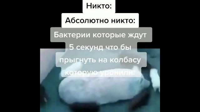ПРИКОЛЫ ПРИКОЛЫ