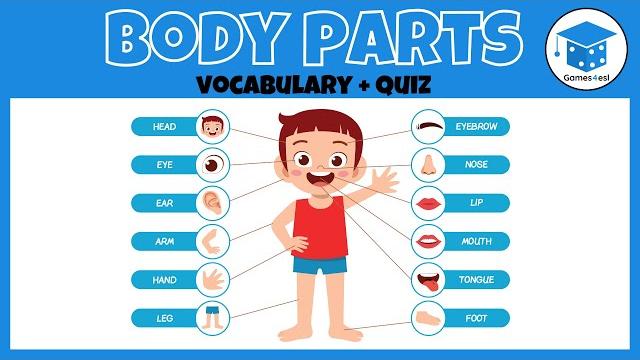 Body Parts Vocabulary And Quiz For Kids Body Parts Vocabulary And Quiz For Kids