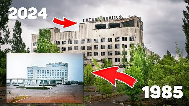Чернобыль Спустя 38 лет | Дикая природа Зоны Отчуждения Чернобыль Спустя 38 лет | Дикая природа Зоны Отчуждения