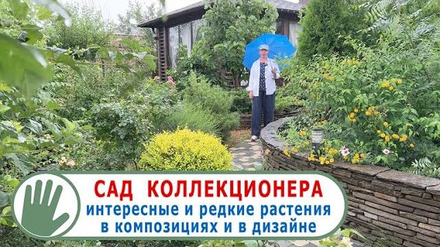 Видео журнал "СОФ №148" - САД КОЛЛЕКЦИОНЕРА. Интересные и редкие растения в композициях и в дизайне Видео журнал "СОФ №148" - САД КОЛЛЕКЦИОНЕРА. Интересные и редкие растения в композициях и в дизайне