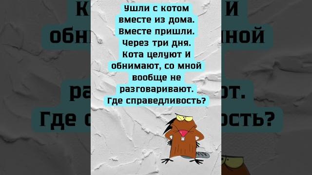 #смех #приколы #смех #приколы